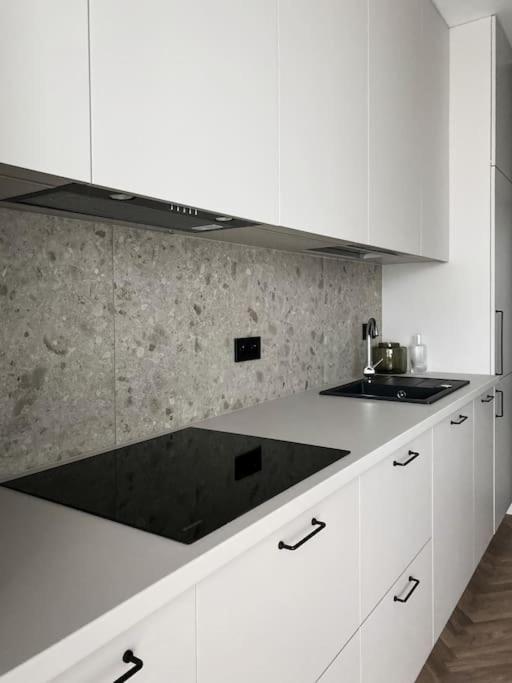 קרקוב Apartament Bonhaus Wislanetarasy מראה חיצוני תמונה